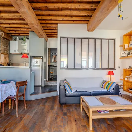 Cocon Lyonnais Au Coeur De La Croix-rousse Apartment Lyon